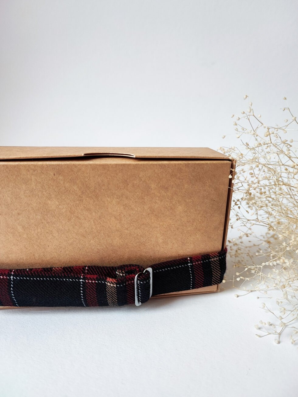 Raudona ir tamsiai mėlyna vyriška medvilnės-vilnos peteliškė